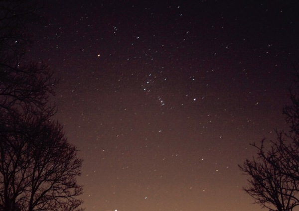 Night sky picture of constellation Orion.